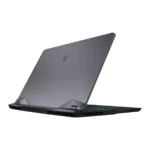 MSI Raider GE76 Deluxe Edition Gaming Laptop