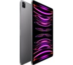 Apple 12.9" iPad Pro (2022)