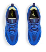 Asics Running Shoes