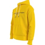 Tommy Hilfiger Hoodie